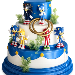 Bolo Fake Sonic