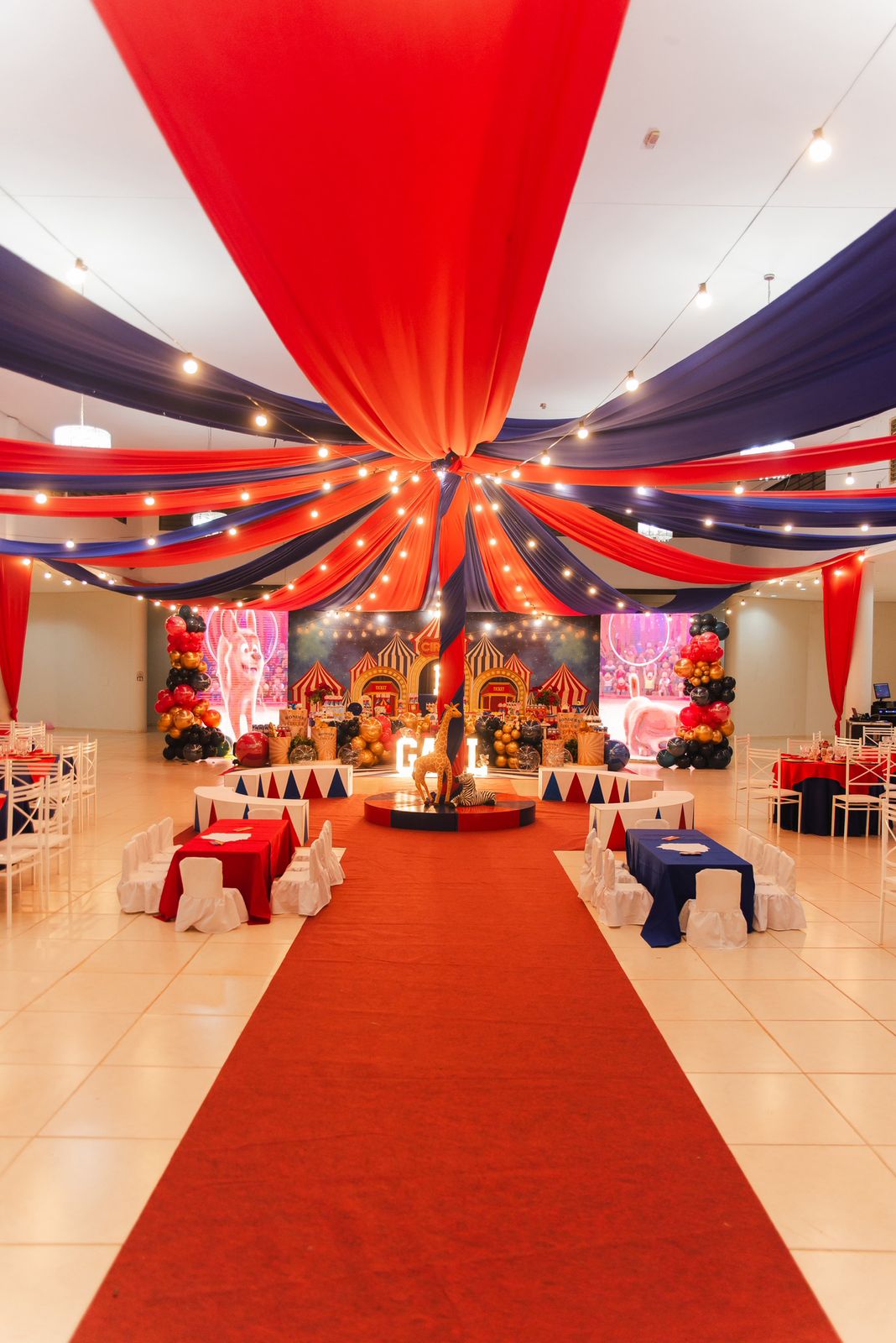 Tema Circo - Imagem 2